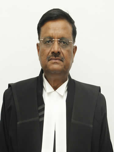 Judge
